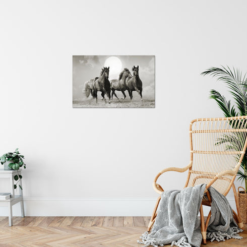 Wandbilder Wohnzimmer XXL Pferde Moderne Bilder Tiere